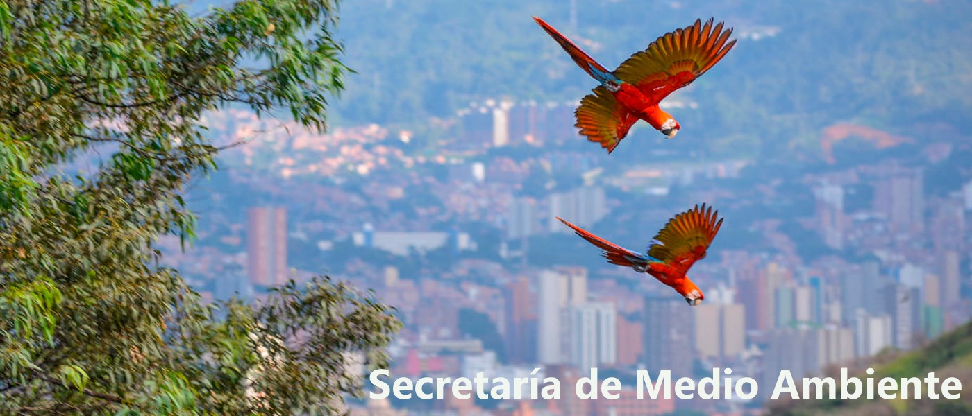 SECRETARIA MEDIO AMBIENTE