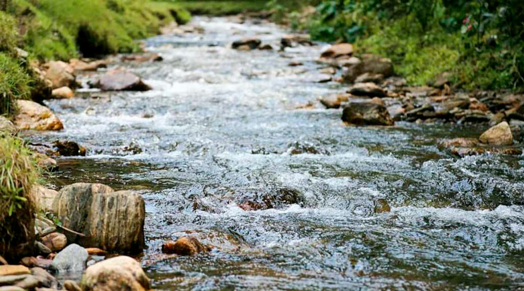 Quebrada en Medellín