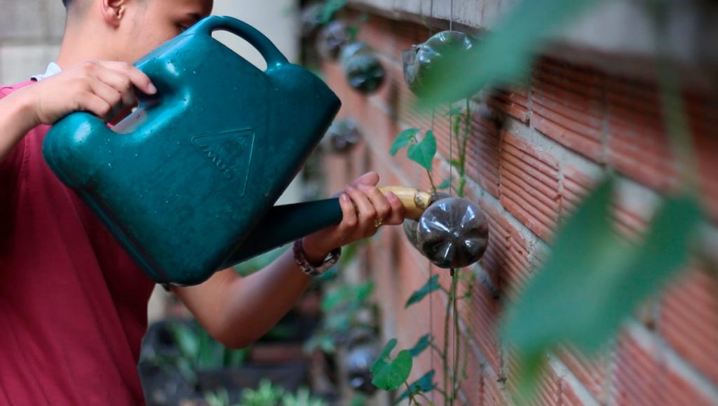 Recursos de la Secretaría de Salud para cuidar el ambiente