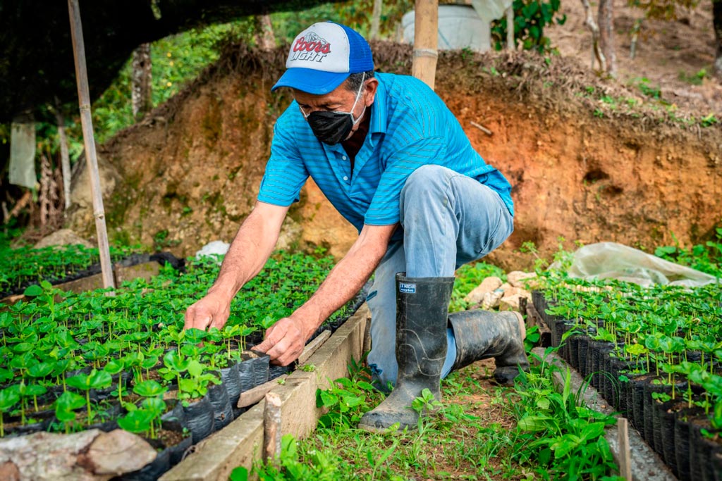 Hombre trabajo rural