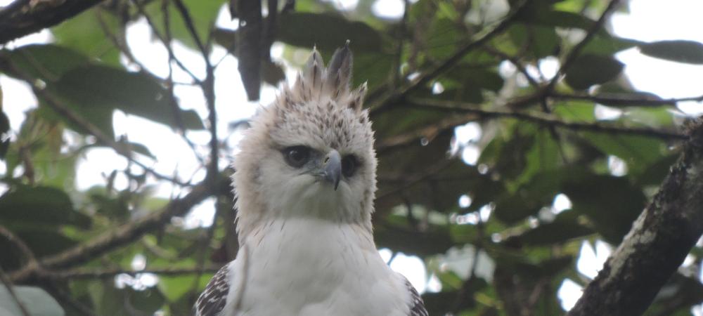 20220303-Avistamiento-Fauna-1