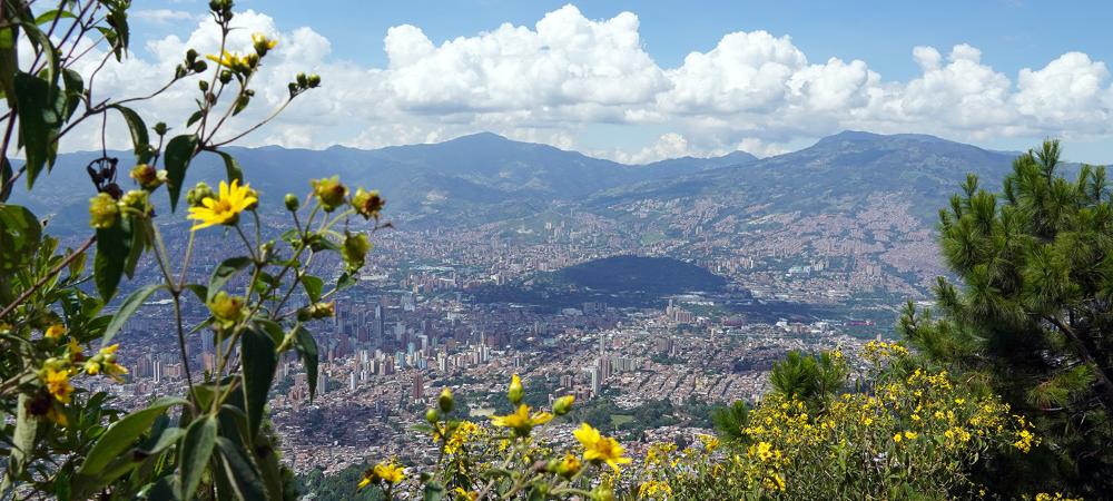 Imagen de Medellín del cambio climático