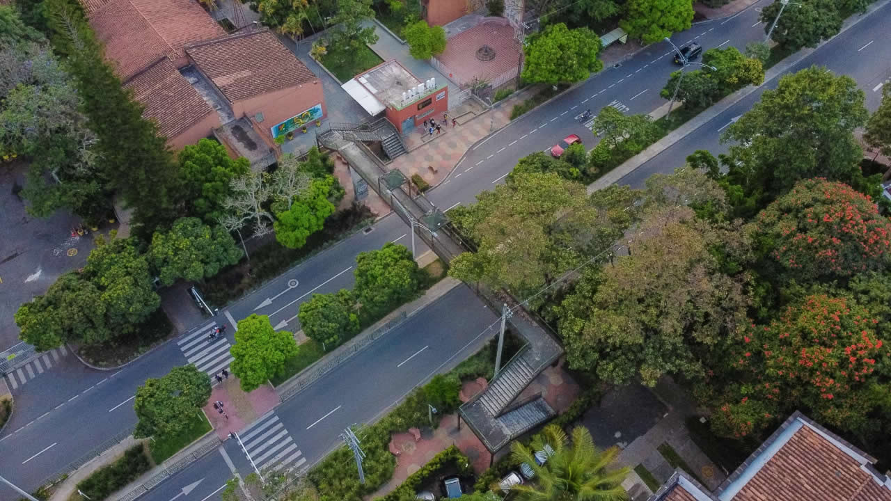 Movilidad peatonal
