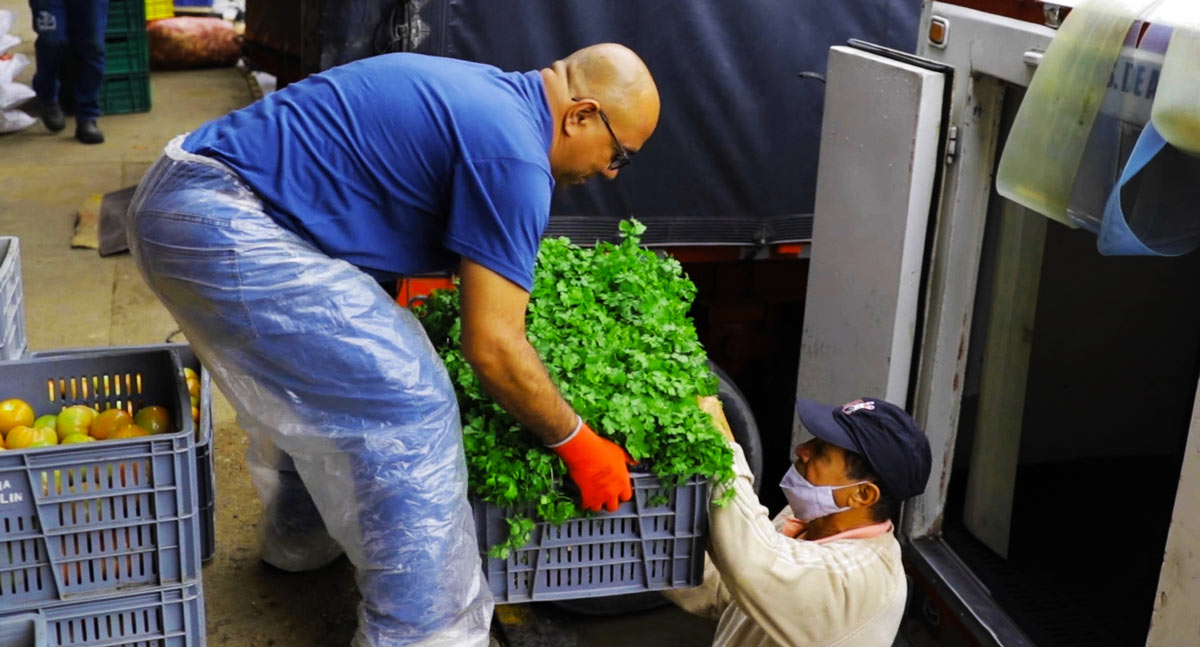 Campesinos de Medellín Campesinos de Medellín