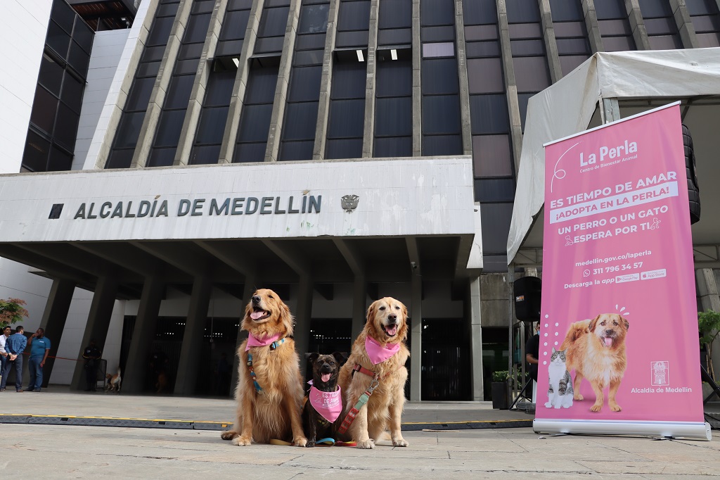 protección y el bienestar animal