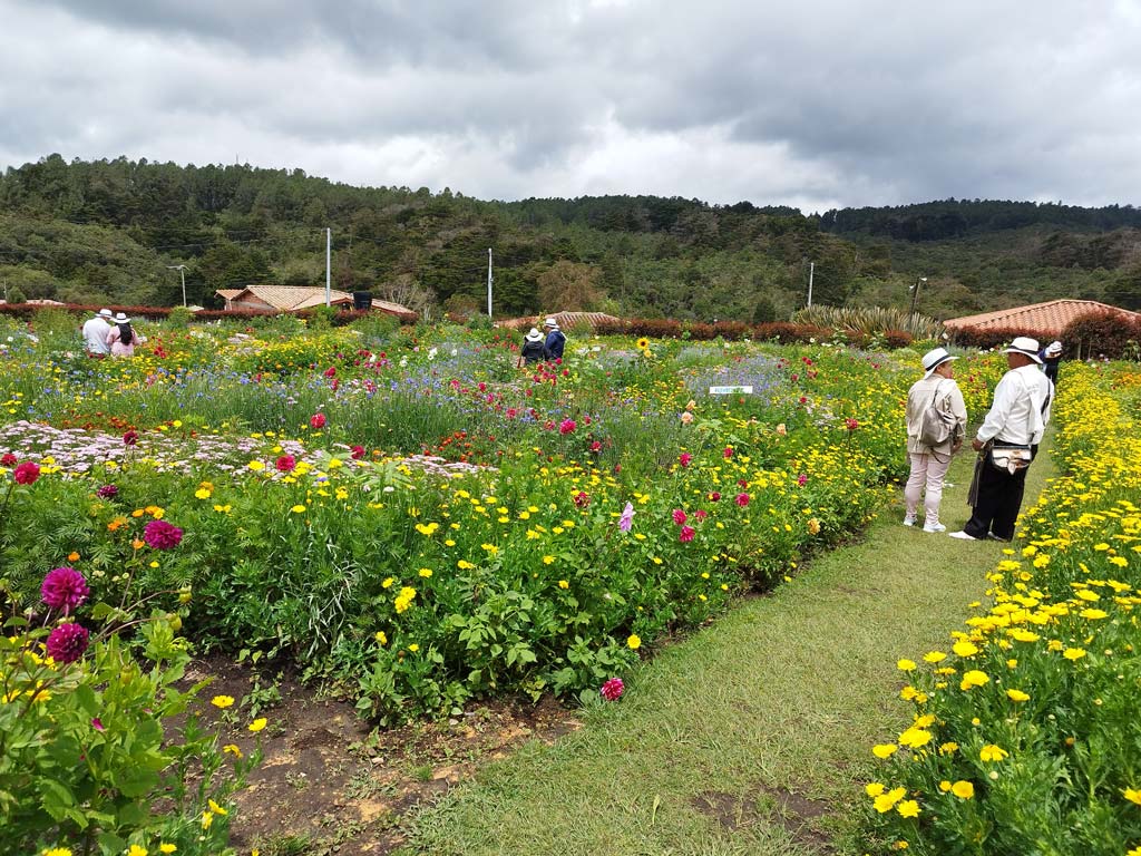 Finca silletera El Pensamiento