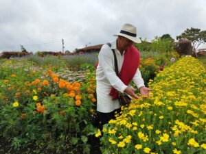 Finca silletera El Pensamiento