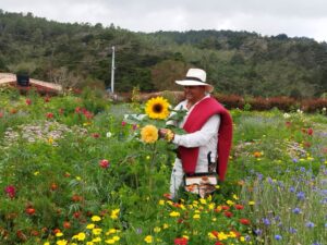 Finca silletera El Pensamiento