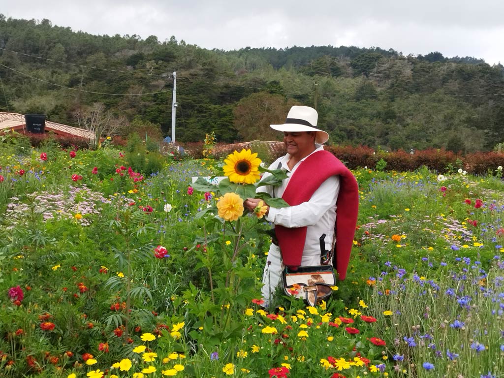 Finca silletera El Pensamiento