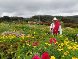 Finca silletera El Pensamiento
