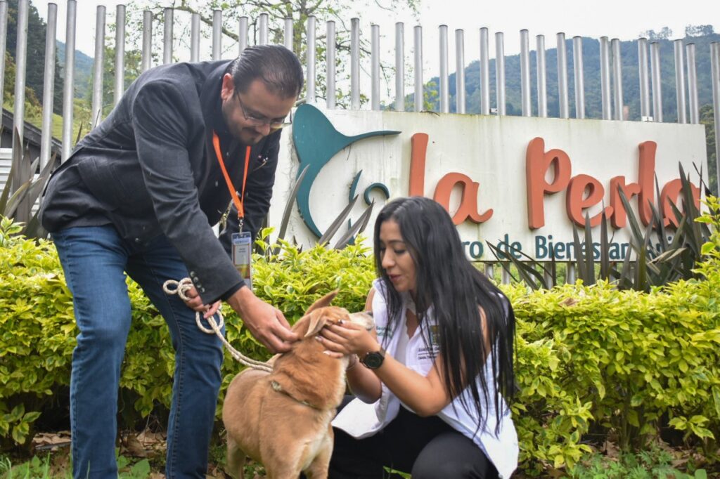 Centro de Bienestar Animal La Perla