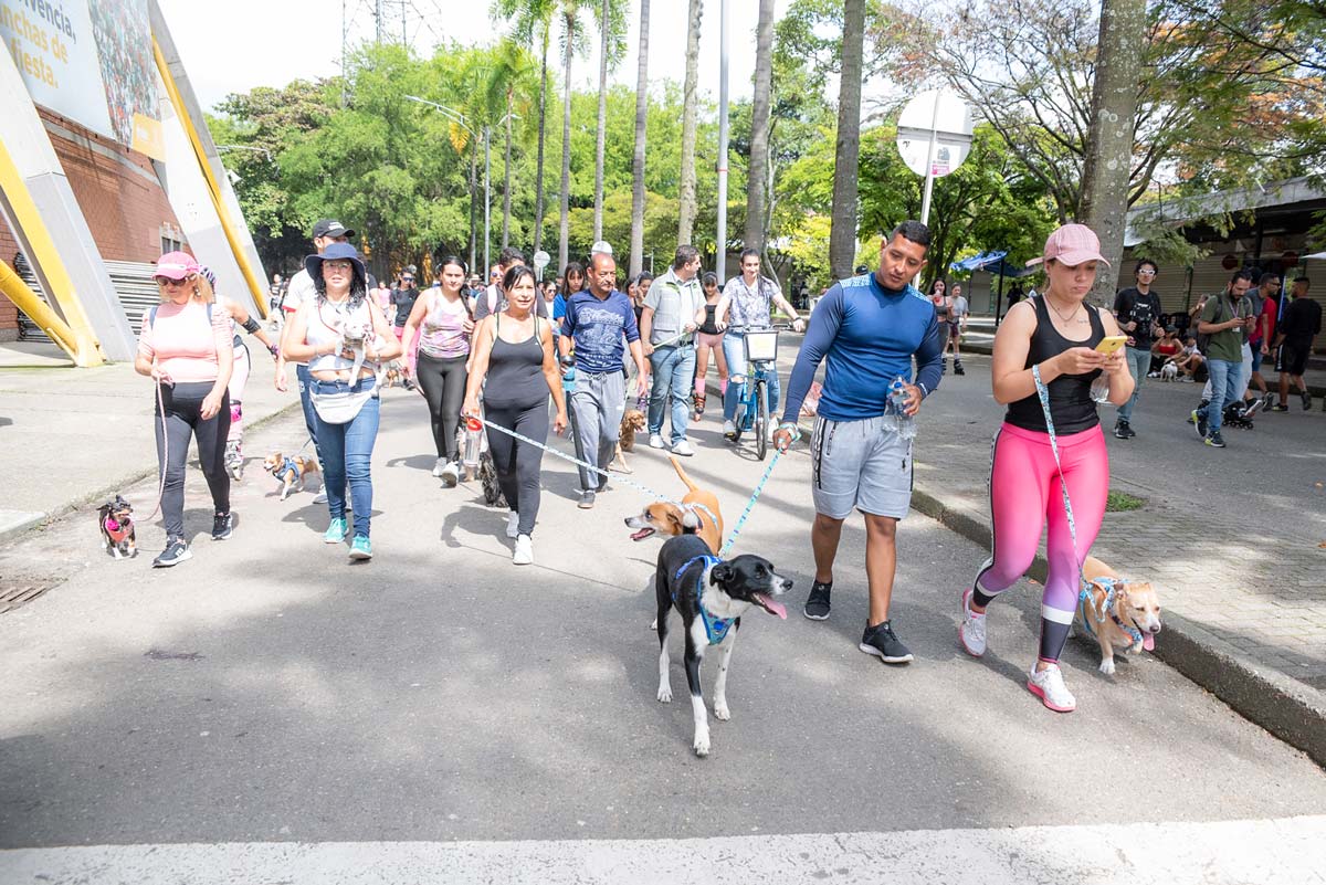 Caminata canina