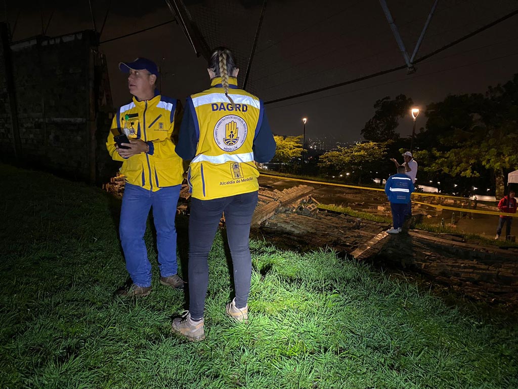 Desplome de árboles