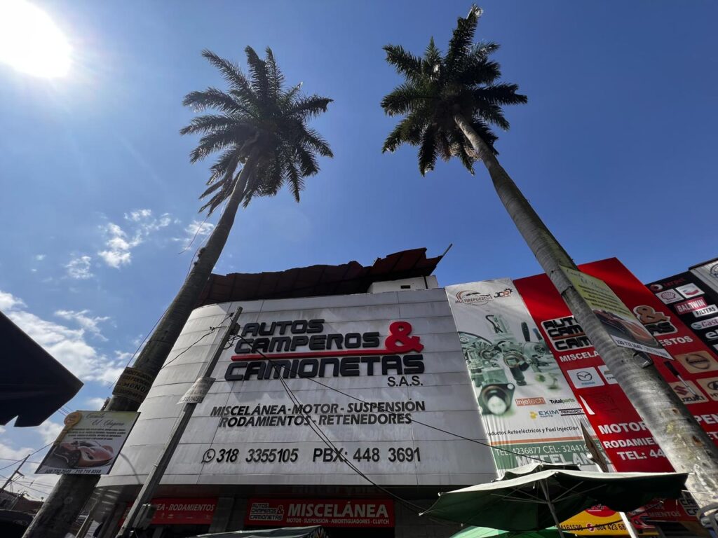 Medellín protege y recupera las palmas patrimoniales afectadas por utilización indebida