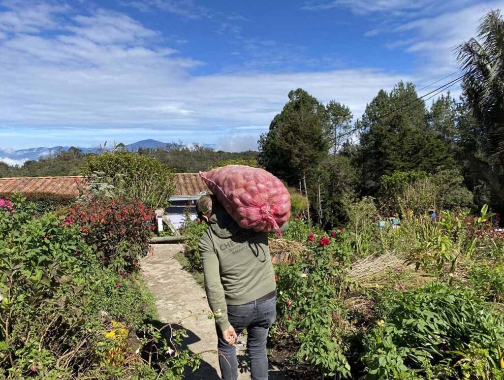 Productores agrícolas afectados por la ola invernal en Medellín reciben insumos para la protección y recuperación de sus cultivos Productores agrícolas afectados por la ola invernal en Medellín reciben insumos para la protección y recuperación de sus cultivos