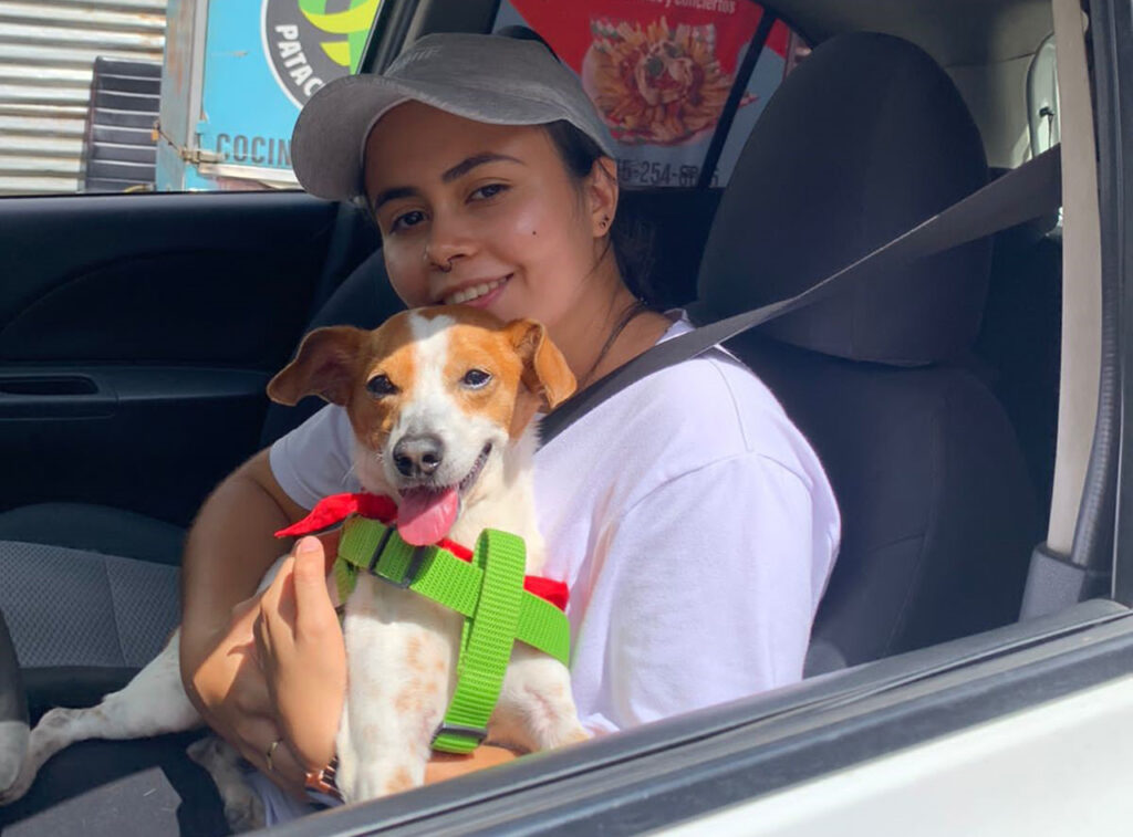 Sanders. Foto Juan David Yepes