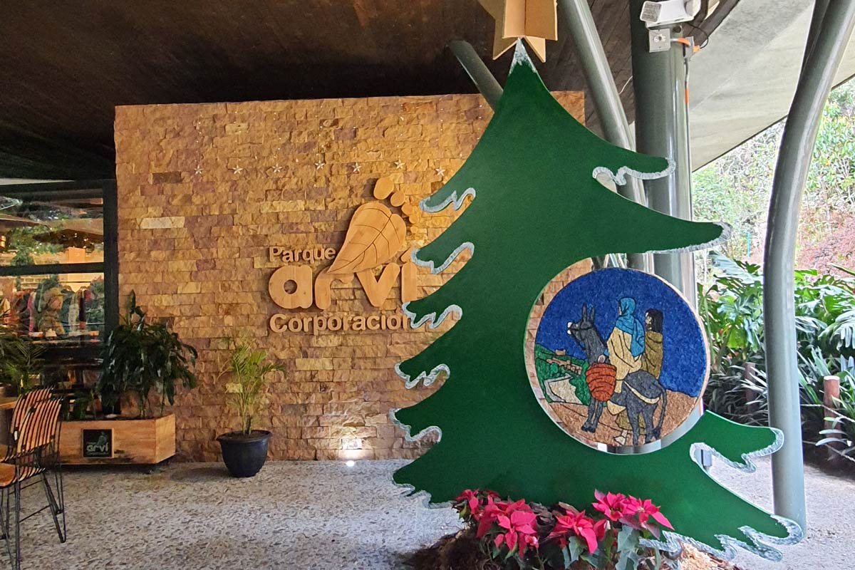 Arboles navideños Corporación Parque Arví