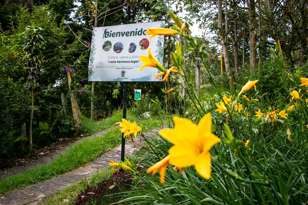 Planes turísticos en Medellín