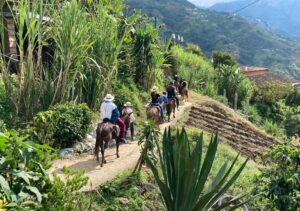 Planes turísticos en Medellín