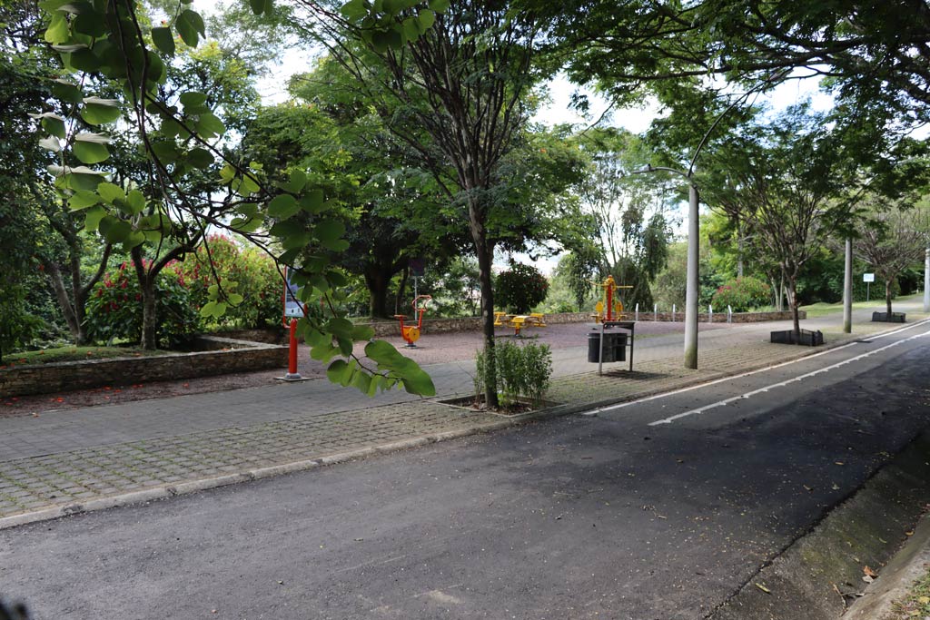 ReportesMED - Árboles en riesgo