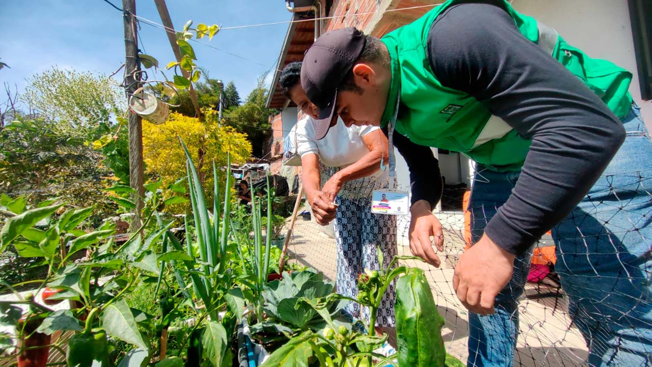 Se abre convocatoria para la creación de 700 huertas para el autoconsumo en el Distri Se abre convocatoria para la creación de 700 huertas para el autoconsumo en el Distrito