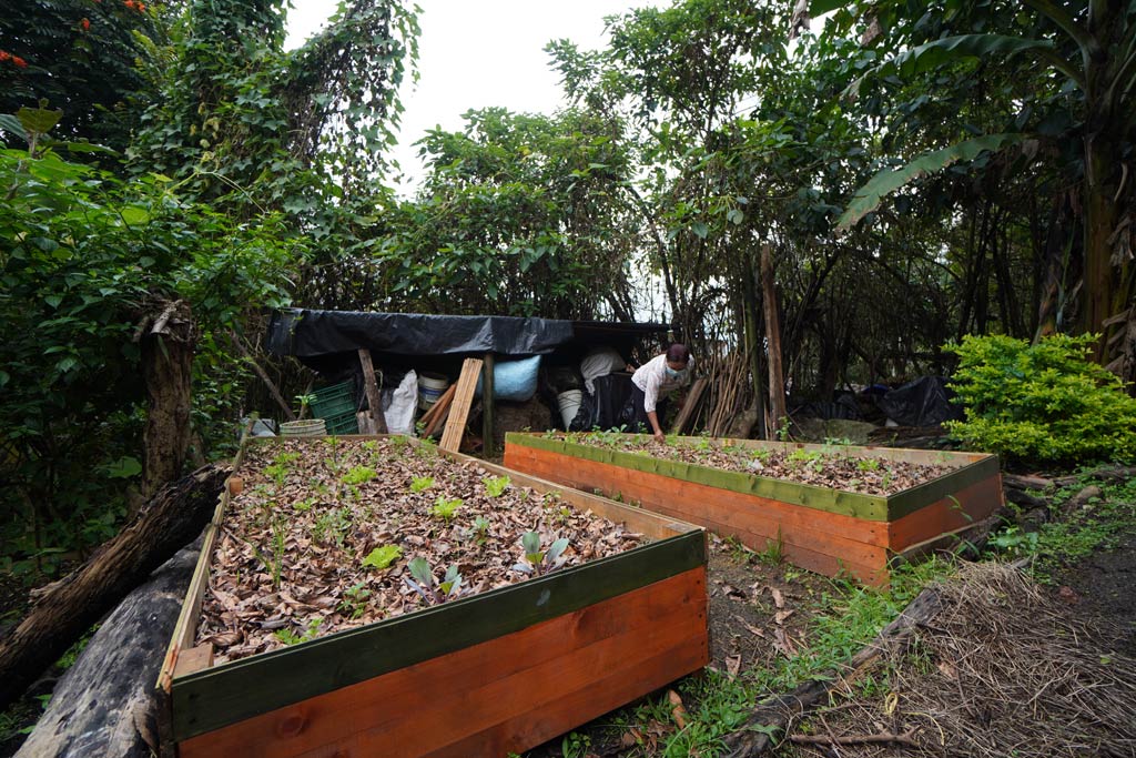 Prácticas ambientales