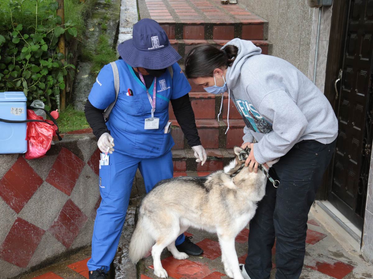 Vacunas antirrábicas