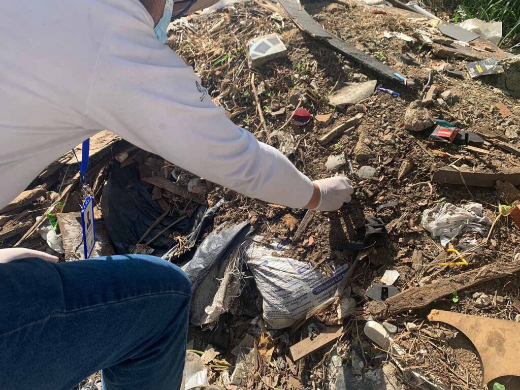 Comité de Ornato y Aseo que ayuda a controlar la plaga de caracoles africanos