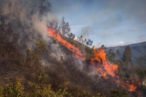 Dagrd con Bomberos Medellín reitera recomendaciones para evitar incendios de cobertura vegetal