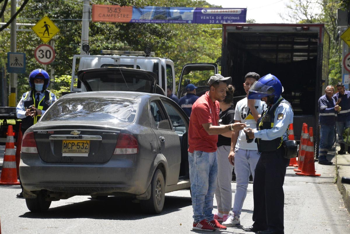 Licencias de conducción