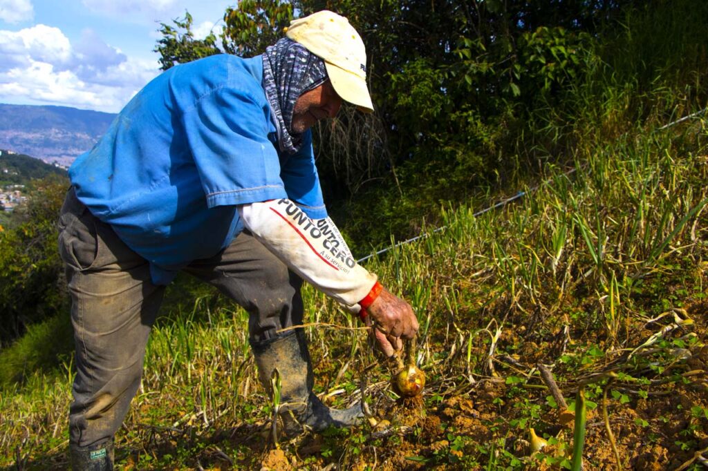 Distrito Rural Campesino de Medellín 