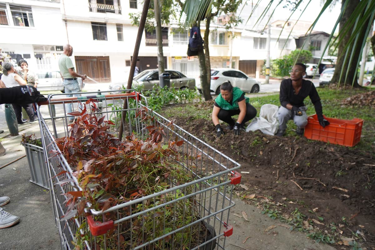 Recuperación puntos críticos