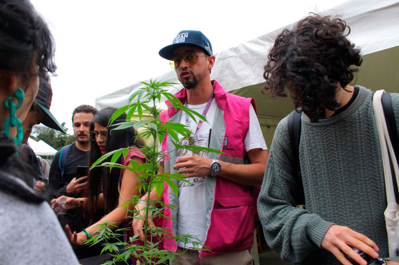 Con campaña digital de autocultivo de marihuana, Medellín le apuesta a la pedagogía para la salud de los consumidores y la construcción de paz