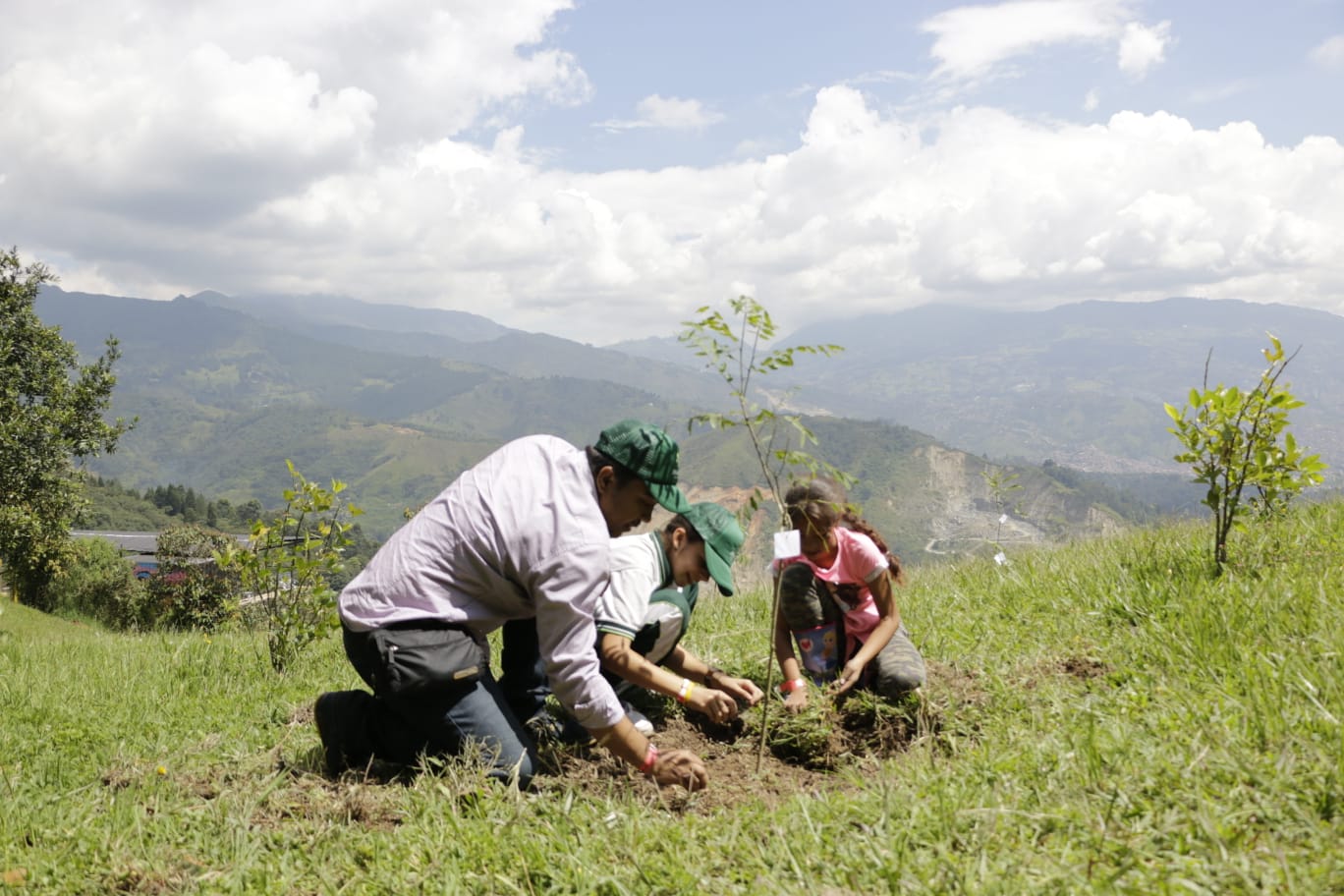 Por primera vez, Medellín fue certificada como una de las ciudades arboladas del mundo