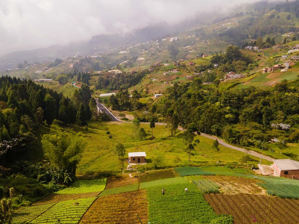 Puente Naranjal Boquerón