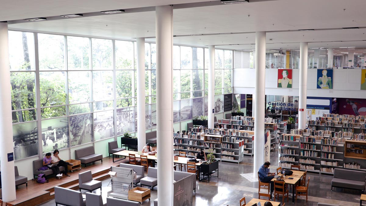 Biblioteca Pública Piloto