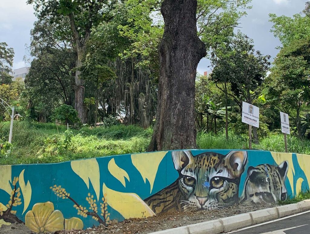 Un caracolí es el gigante guardián del intercambio de la 34 con Los Balsos