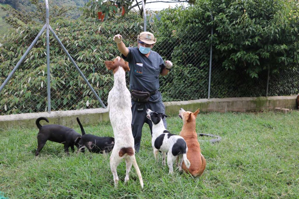 Rutas de atención del Centro de Bienestar Animal - La Perla