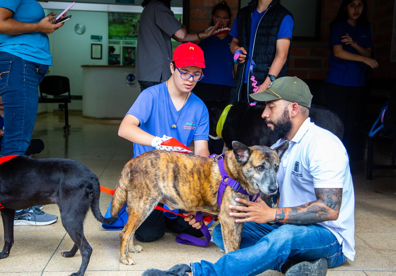 Rutas de atención del Centro de Bienestar Animal - La Perla