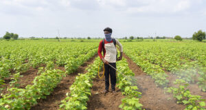 Agricultura y ambiente