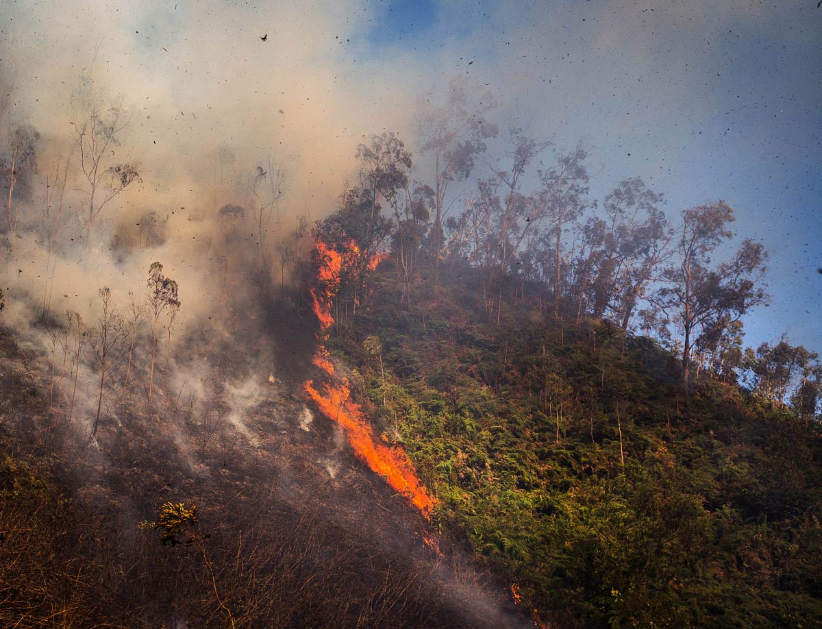 Recomendaciones para evitar incendios