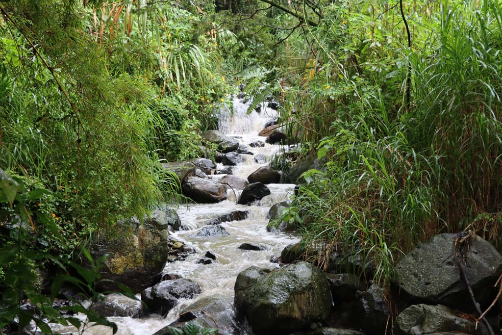 Ecosistemas Estratégicos