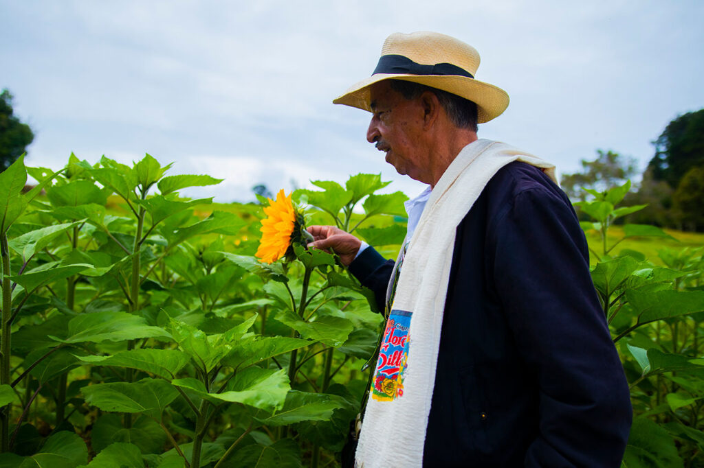 Corregimiento de Santa Elena