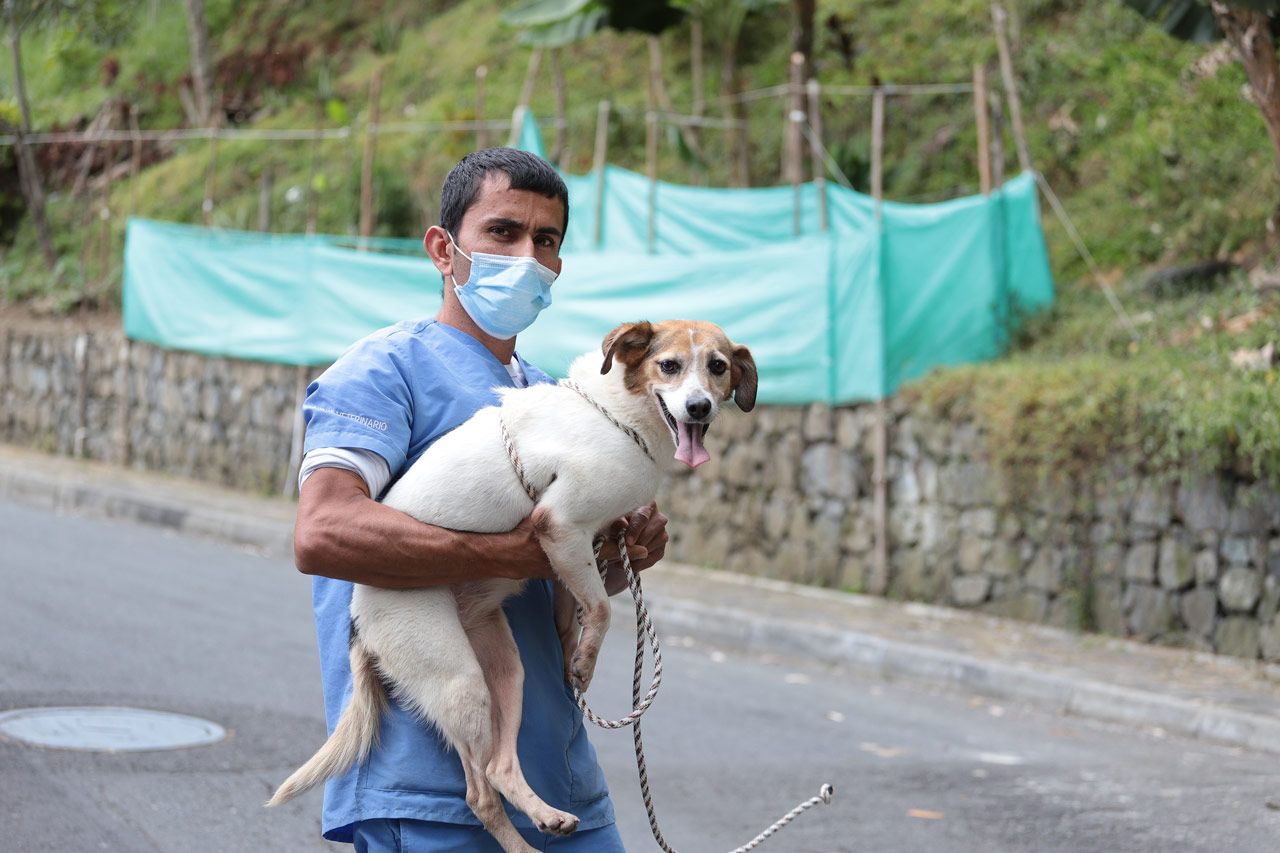 Con protocolo de atención, este año se han rescatado 1.337 animales de compañía vulnerables en Medellín Con protocolo de atención, este año se han rescatado 1.337 animales de compañía vulnerables en Medellín