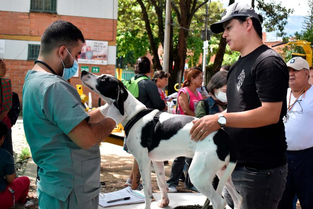 Esterilizaciones de los barrios