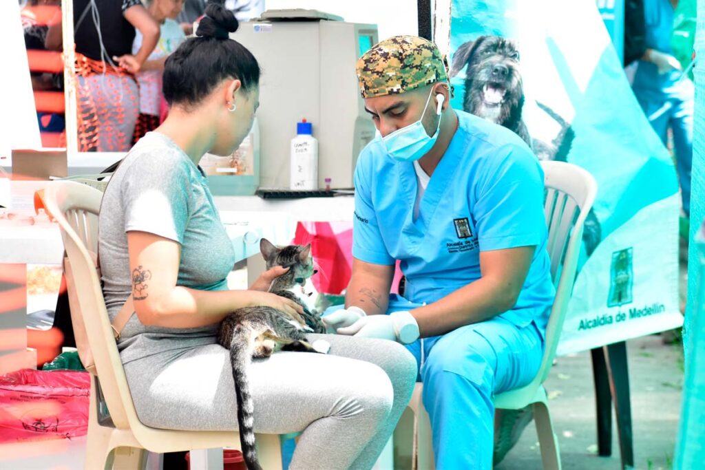 Esterilizaciones de los barrios