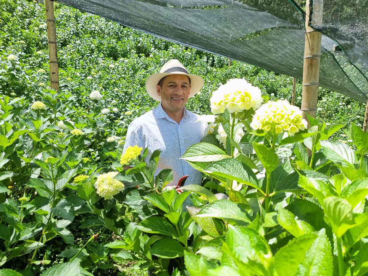 Federico Alzate Zapata