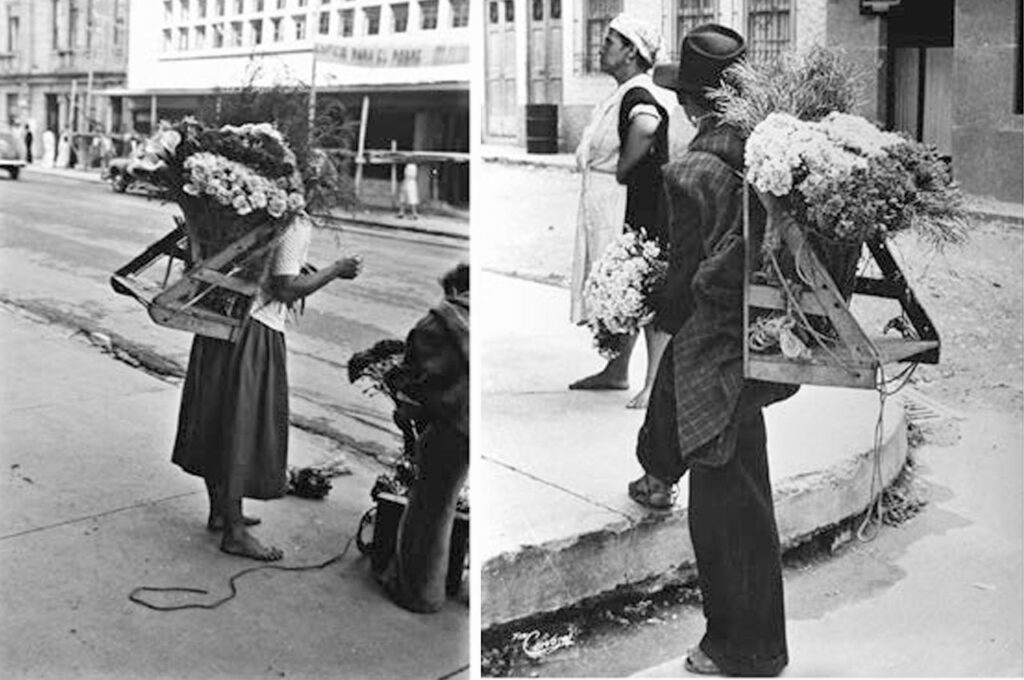Es una tradición sin dominio de género. Tanto hombre como mujeres se dedican a ella con orgullo. Gabriel Carvajal Pérez. 1955. Archivo Fotográfico BPP, Medellín (Libro: Silleteros un pasado que florece).