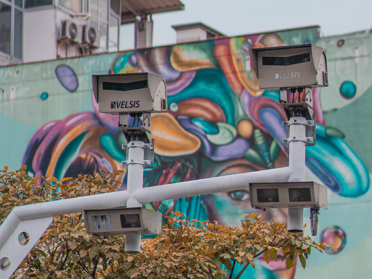 Cámaras Salva Vidas Abril