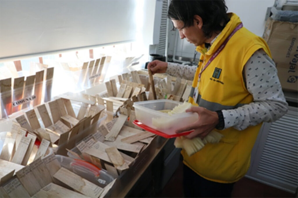 Prevención del dengue en Medellín